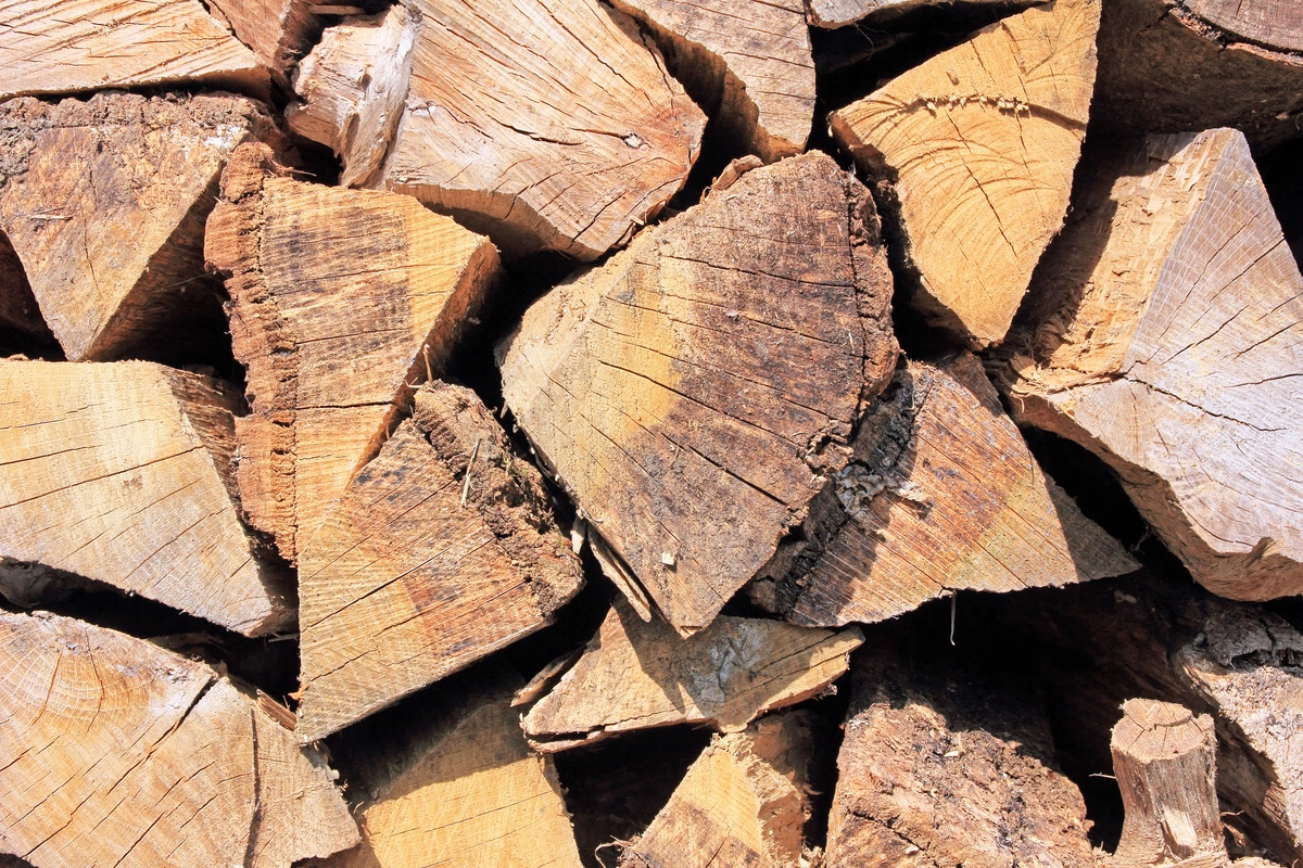 Bûches de bois de châtaignier en vrac prêtes pour le chauffage, montrant des coupes de bois sec.