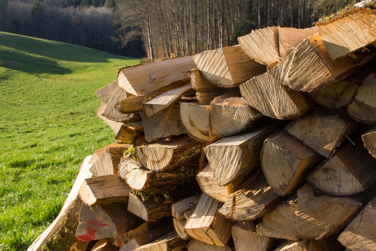 Pile de bûches de bois de chauffage empilées en extérieur dans un paysage de campagne, prêtes pour l'utilisation comme bois de chauffage.